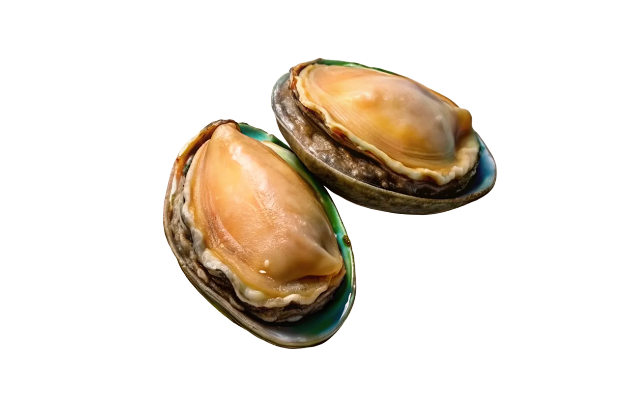 abalones