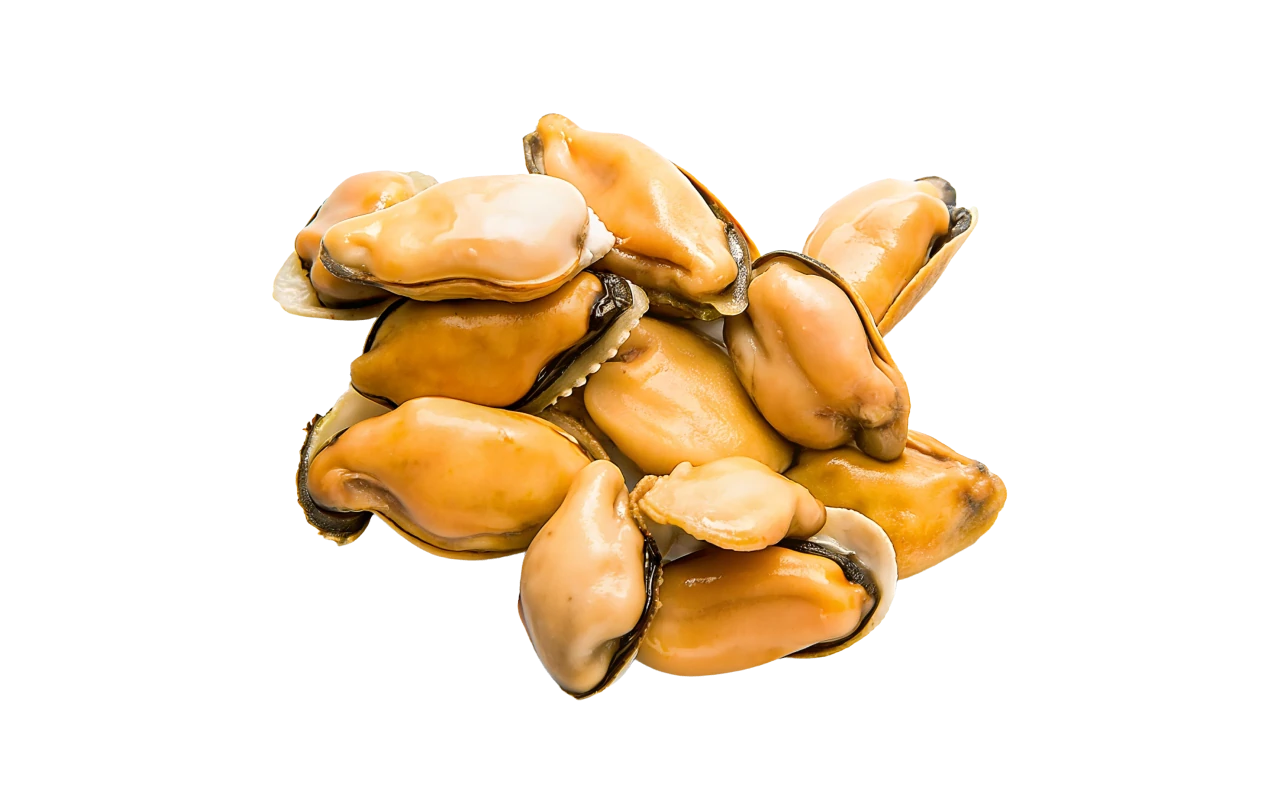 mussel meat